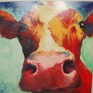 Meet your Posher, Doug